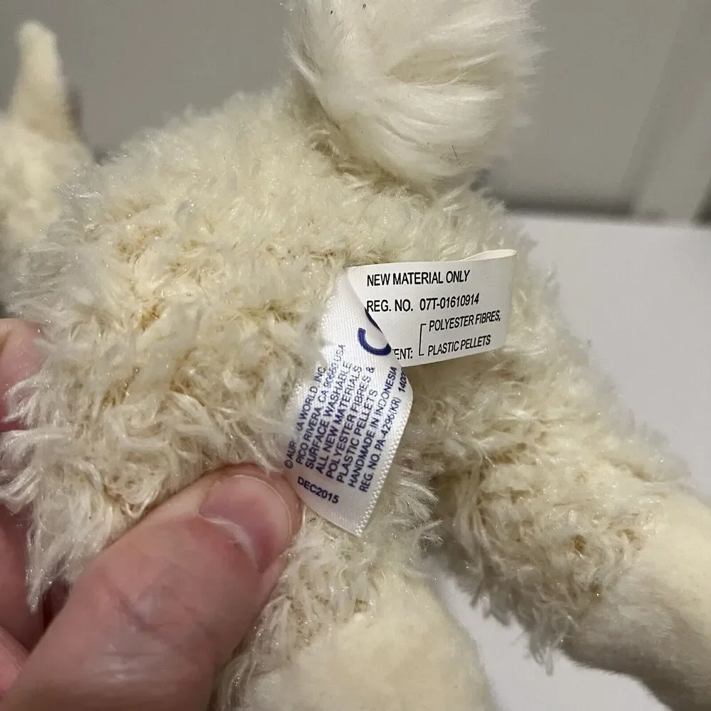 Aurora Flopsie LLAMA  10